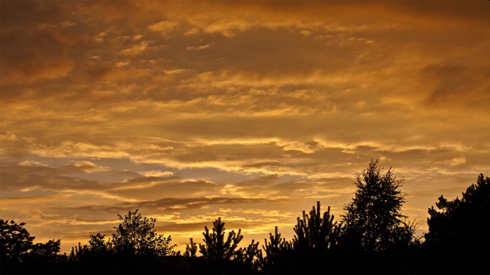 dark landscape wall (2).jpg (446 KB)